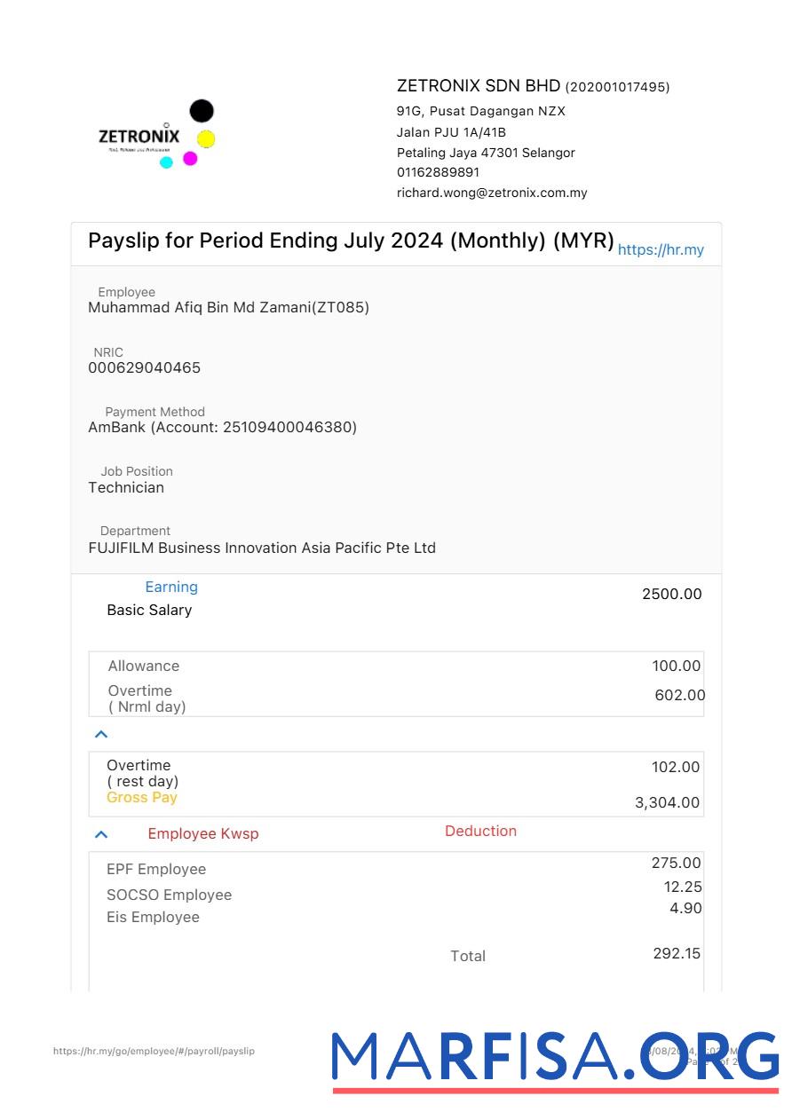 Realistic Zetronix payslip download for verification